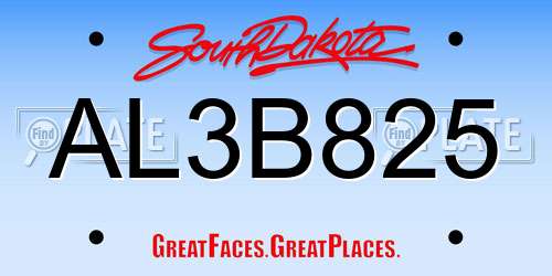 AL3B825 South Dakota License Plate