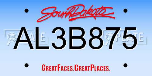 AL3B875 South Dakota License Plate