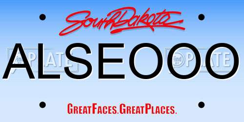 ALSEOOO South Dakota License Plate