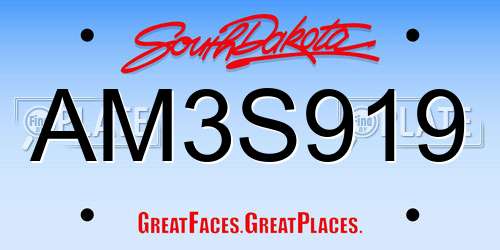 AM3S919 South Dakota License Plate