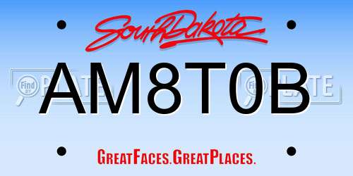 AM8T0B South Dakota License Plate