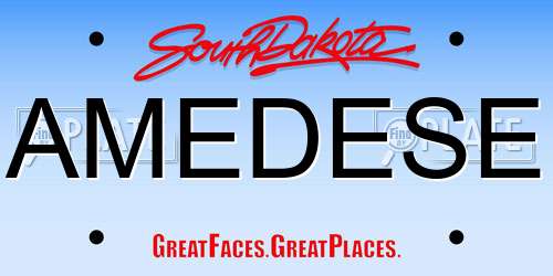 AMEDESE South Dakota License Plate