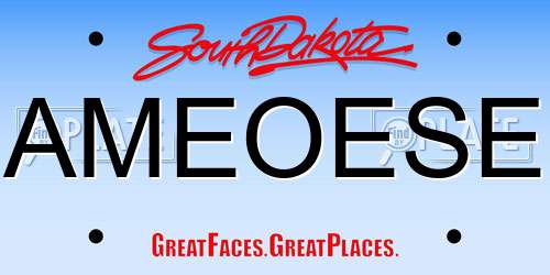 AMEOESE South Dakota License Plate