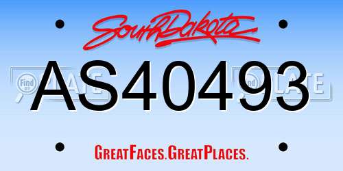 AS40493 South Dakota License Plate