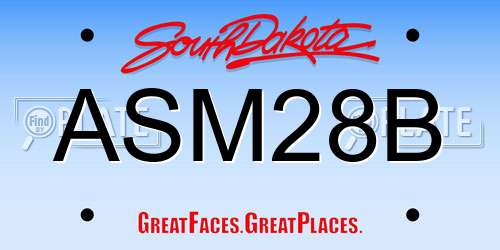 ASM28B South Dakota License Plate
