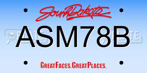 ASM78B South Dakota License Plate