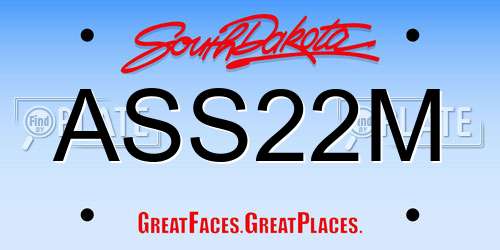 ASS22M South Dakota License Plate