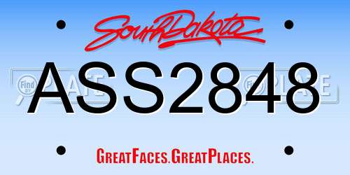 ASS2848 South Dakota License Plate