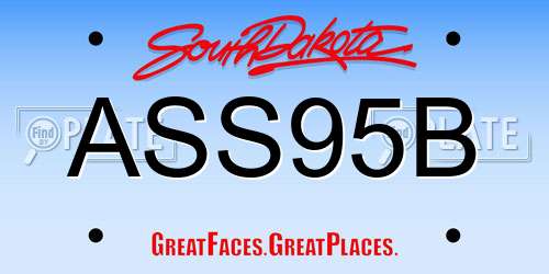 ASS95B South Dakota License Plate