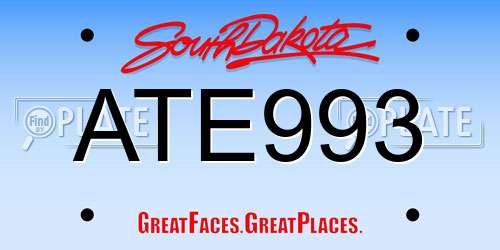 ATE993 South Dakota License Plate