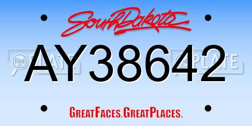 AY38642 South Dakota License Plate