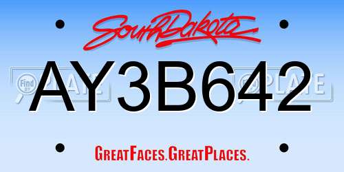 AY3B642 South Dakota License Plate
