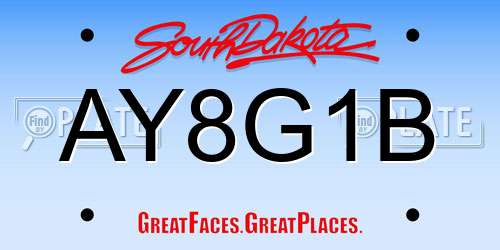 AY8G1B South Dakota License Plate
