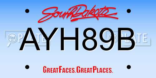 AYH89B South Dakota License Plate