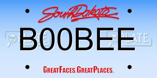 B00BEE South Dakota License Plate