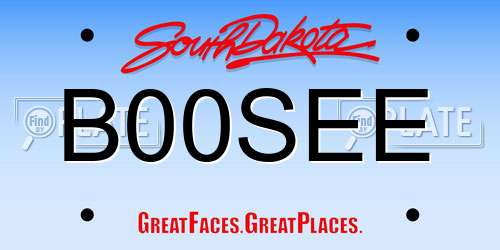 B00SEE South Dakota License Plate