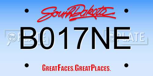 B017NE South Dakota License Plate