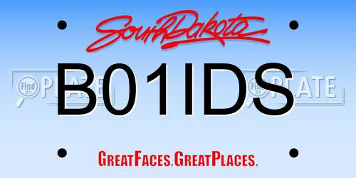B01IDS South Dakota License Plate