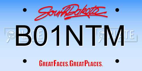 B01NTM South Dakota License Plate