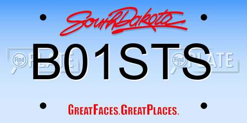 B01STS South Dakota License Plate