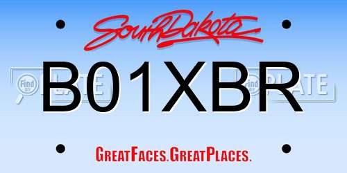 B01XBR South Dakota License Plate