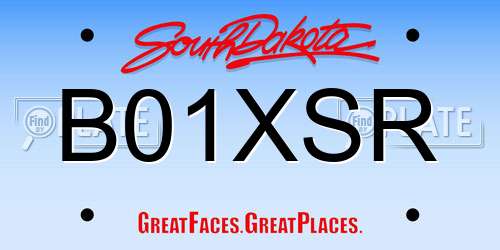 B01XSR South Dakota License Plate