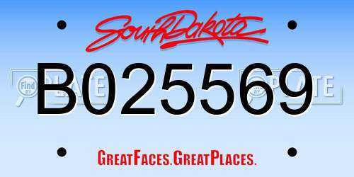 B025569 South Dakota License Plate