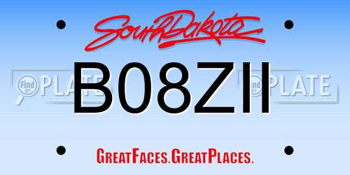 B08ZII South Dakota License Plate