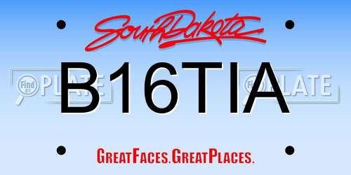B16TIA South Dakota License Plate