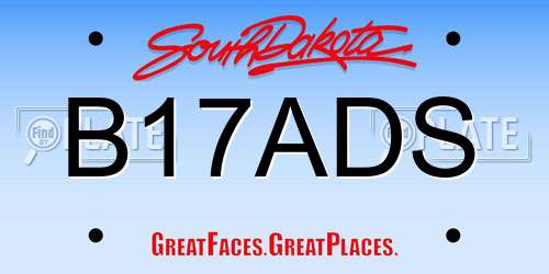 B17ADS South Dakota License Plate