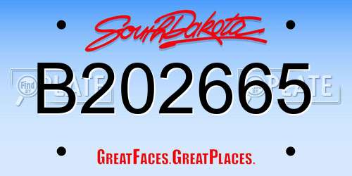 B202665 South Dakota License Plate