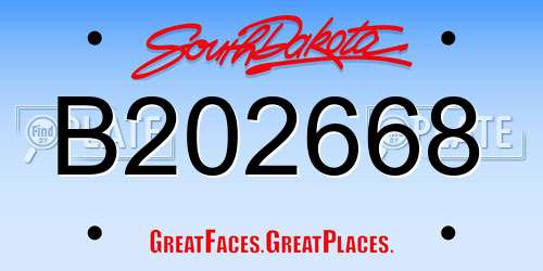 B202668 South Dakota License Plate