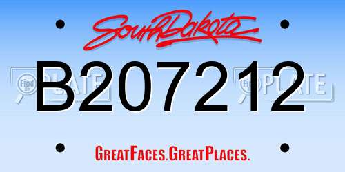 B207212 South Dakota License Plate