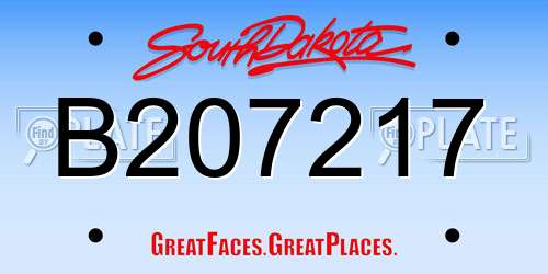B207217 South Dakota License Plate