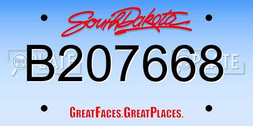 B207668 South Dakota License Plate