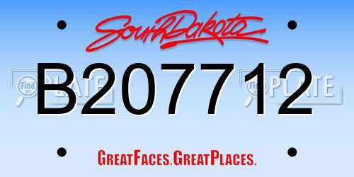 B207712 South Dakota License Plate