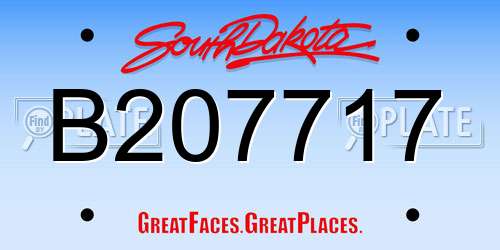 B207717 South Dakota License Plate