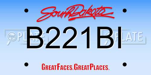 B221BI South Dakota License Plate