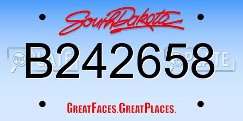 B242658 South Dakota License Plate