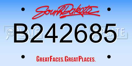 B242685 South Dakota License Plate