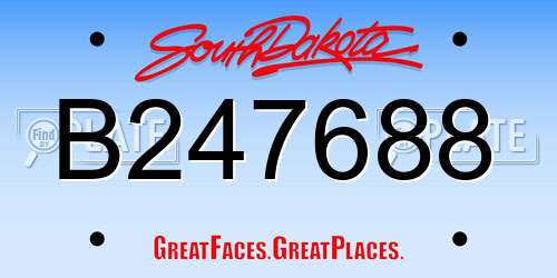 B247688 South Dakota License Plate