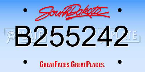 B255242 South Dakota License Plate