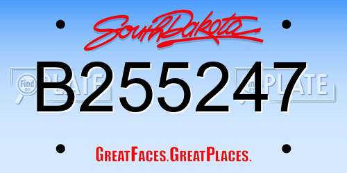 B255247 South Dakota License Plate