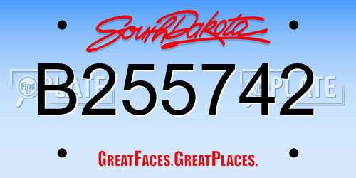 B255742 South Dakota License Plate