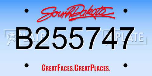 B255747 South Dakota License Plate