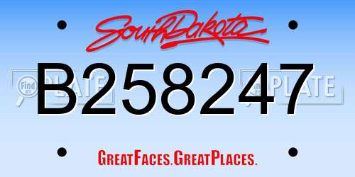 B258247 South Dakota License Plate
