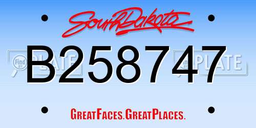 B258747 South Dakota License Plate