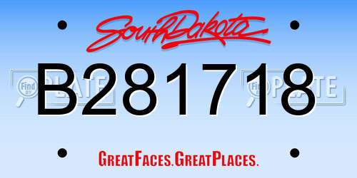 B281718 South Dakota License Plate