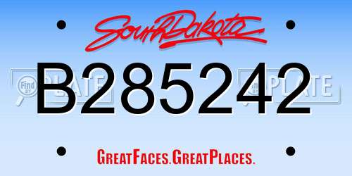 B285242 South Dakota License Plate