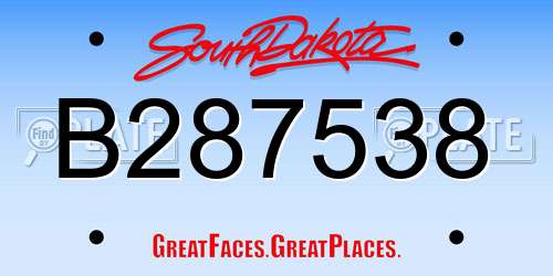B287538 South Dakota License Plate